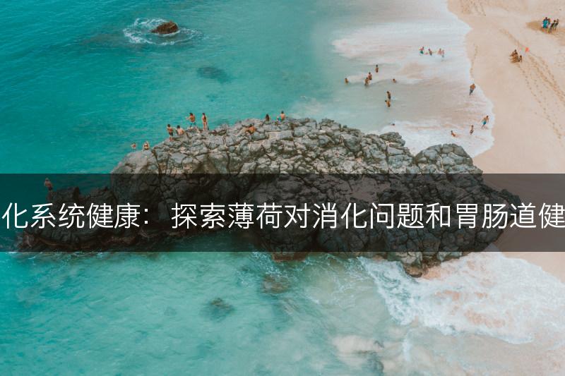 薄荷与消化系统健康:探索薄荷对消化问题和胃肠道健康的益处(图1) 薄荷与消化系统健康:探索薄荷对消化问题和胃肠道健康的益处(图1)