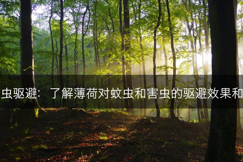 薄荷与昆虫驱避：了解薄荷对蚊虫和害虫的驱避效果和应用方法(图1)