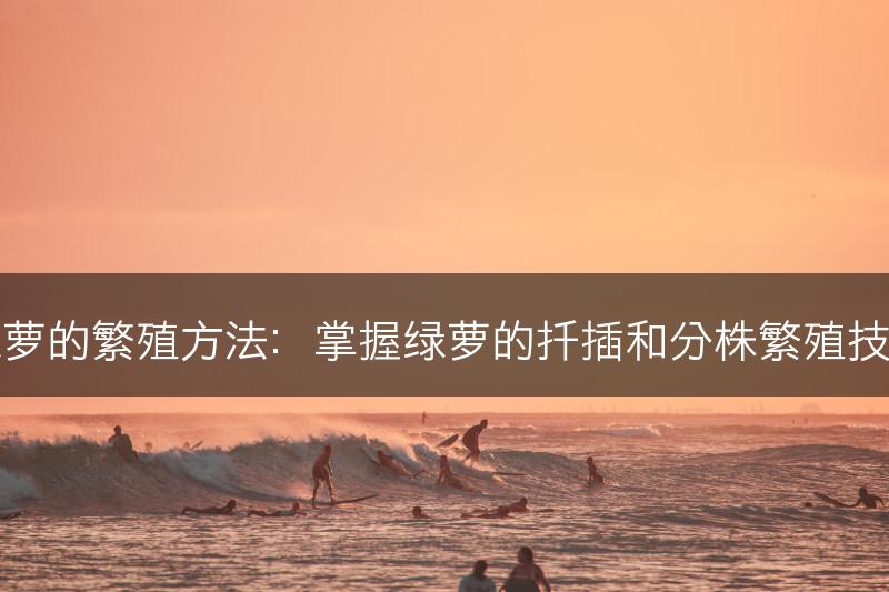 绿萝的繁殖方法：掌握绿萝的扦插和分株繁殖技巧(图1)