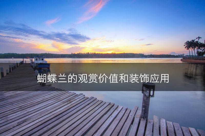 蝴蝶兰的观赏价值和装饰应用(图1)