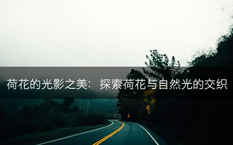 荷花的光影之美：探索荷花与自然光的交织(图1)