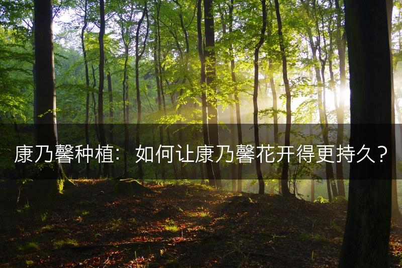 康乃馨种植：如何让康乃馨花开得更持久？(图1)