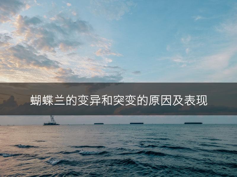 蝴蝶兰的变异和突变的原因及表现(图1)