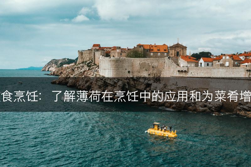 薄荷与饮食烹饪：了解薄荷在烹饪中的应用和为菜肴增添的风味(图1)