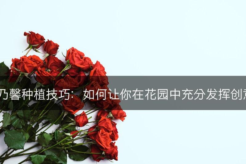 康乃馨种植技巧：如何让你在花园中充分发挥创意？(图1)