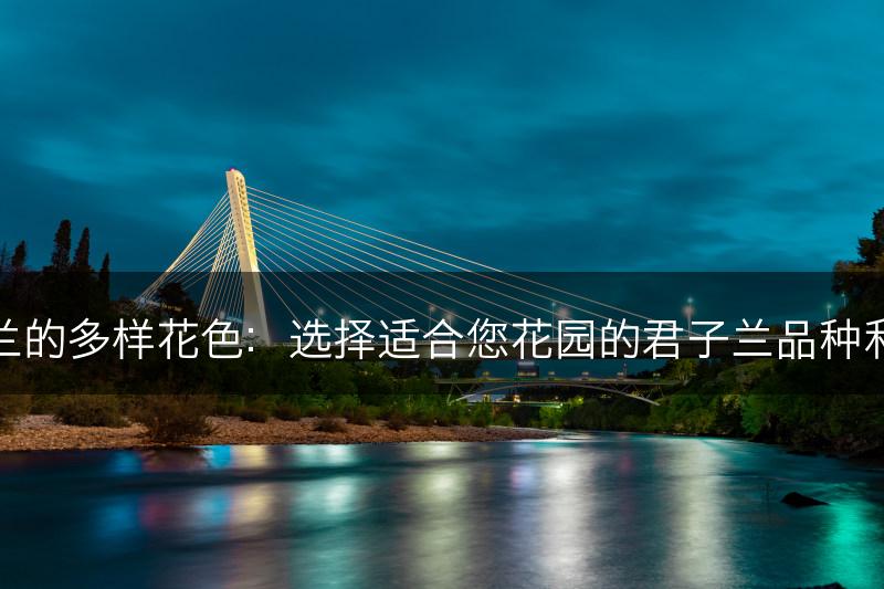 君子兰的多样花色：选择适合您花园的君子兰品种和花色(图1)