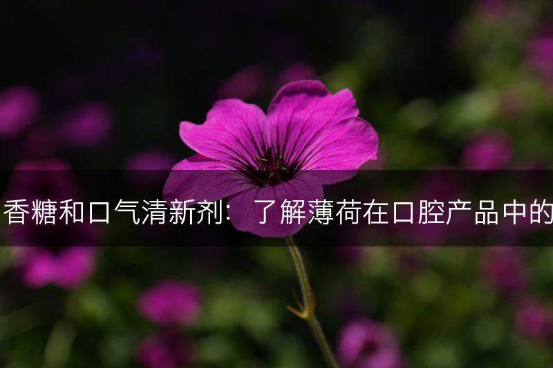 薄荷与口香糖和口气清新剂:了解薄荷在口腔产品中的常见使用(图1) 薄荷与口香糖和口气清新剂:了解薄荷在口腔产品中的常见使用(图1)