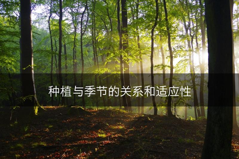种植与季节的关系和适应性(图1)