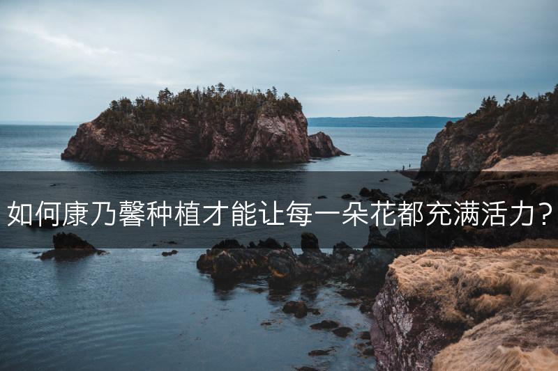 如何康乃馨种植才能让每一朵花都充满活力？(图1)