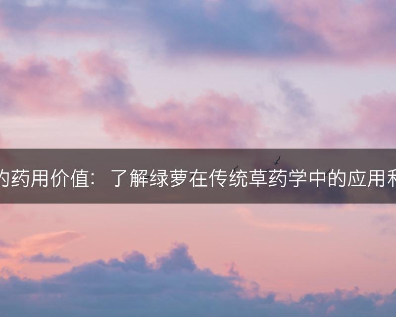 绿萝的药用价值：了解绿萝在传统草药学中的应用和功效(图1)