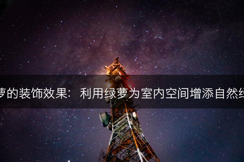 绿萝的装饰效果：利用绿萝为室内空间增添自然绿意(图1)