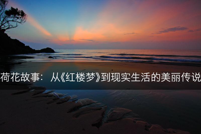 荷花故事：从《红楼梦》到现实生活的美丽传说(图1)