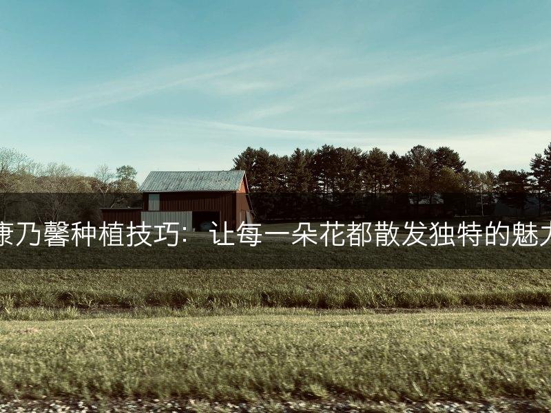 康乃馨种植技巧：让每一朵花都散发独特的魅力(图1)