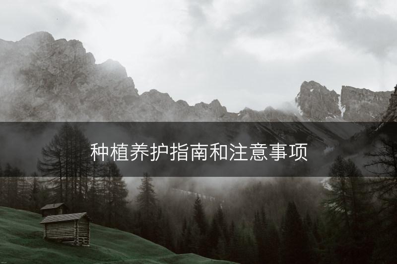 种植养护指南和注意事项(图1)