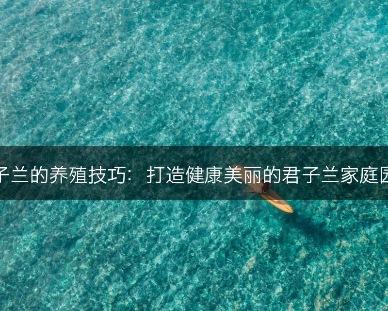 君子兰的养殖技巧：打造健康美丽的君子兰家庭园林(图1)