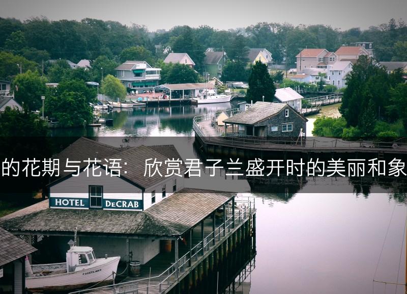 君子兰的花期与花语：欣赏君子兰盛开时的美丽和象征意义(图1)