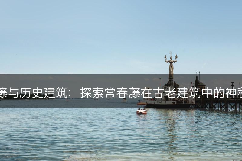 常春藤与历史建筑:探索常春藤在古老建筑中的神秘魅力(图1) 常春藤与历史建筑:探索常春藤在古老建筑中的神秘魅力(图1)