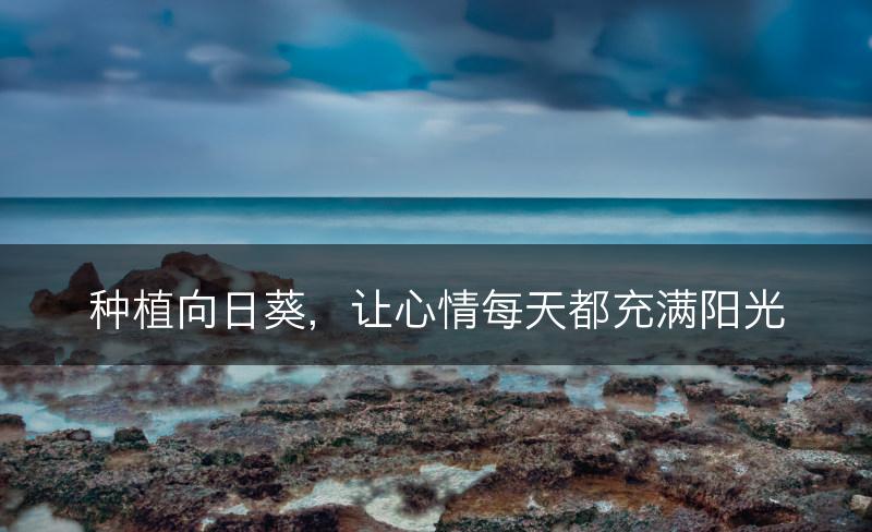 种植向日葵，让心情每天都充满阳光(图1)