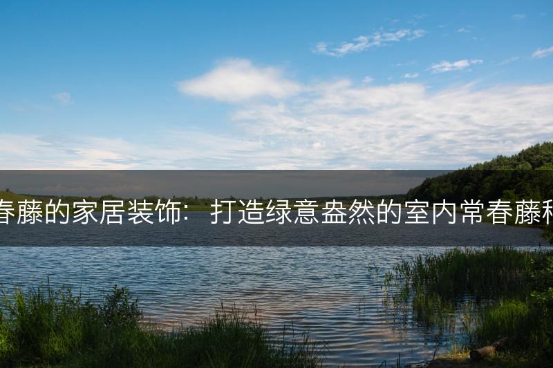 常春藤的家居装饰:打造绿意盎然的室内常春藤种植(图1) 常春藤的家居装饰:打造绿意盎然的室内常春藤种植(图1)