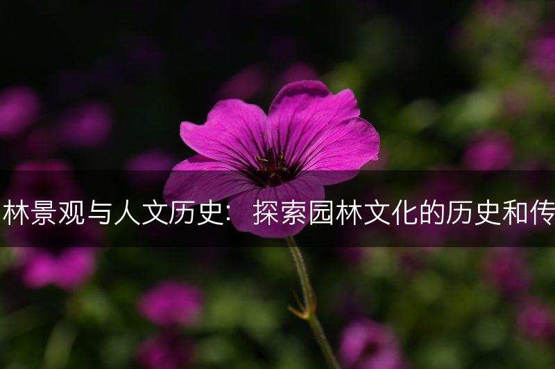 园林景观与人文历史：探索园林文化的历史和传统(图1)