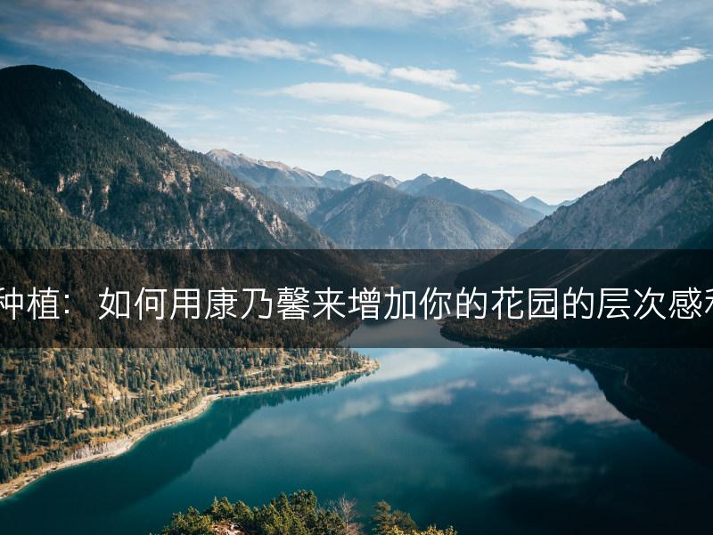 康乃馨种植：如何用康乃馨来增加你的花园的层次感和美感？(图1)