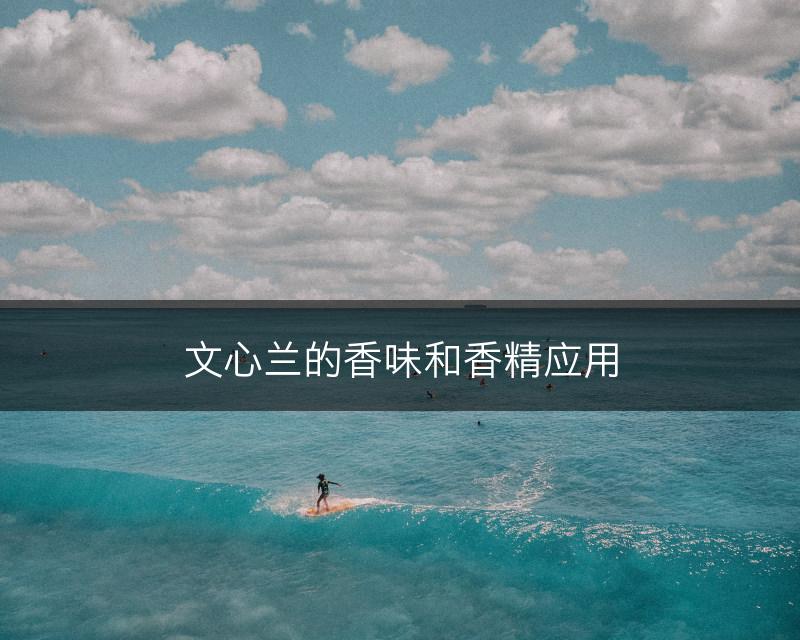 文心兰的香味和香精应用(图1)
