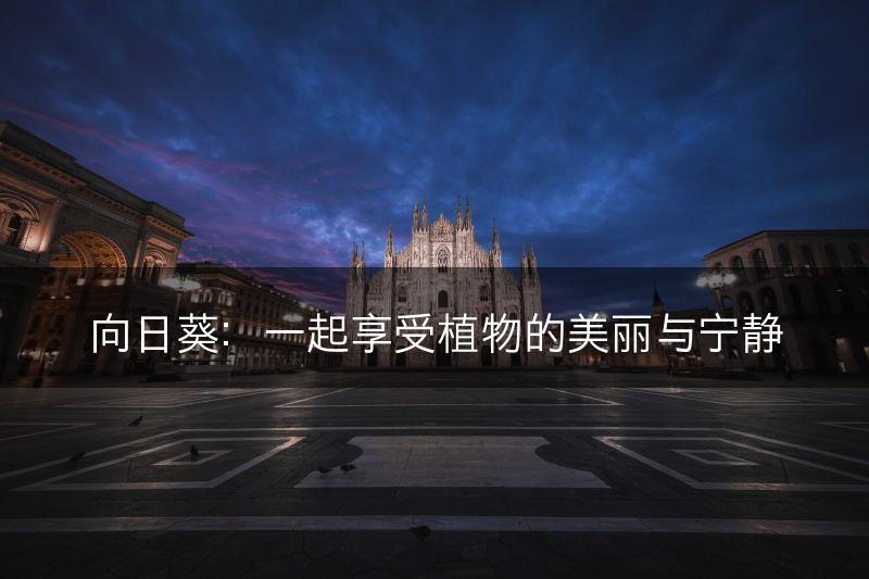 向日葵：一起享受植物的美丽与宁静(图1)