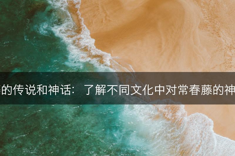 常春藤的传说和神话:了解不同文化中对常春藤的神秘故事(图1) 常春藤的传说和神话:了解不同文化中对常春藤的神秘故事(图1)