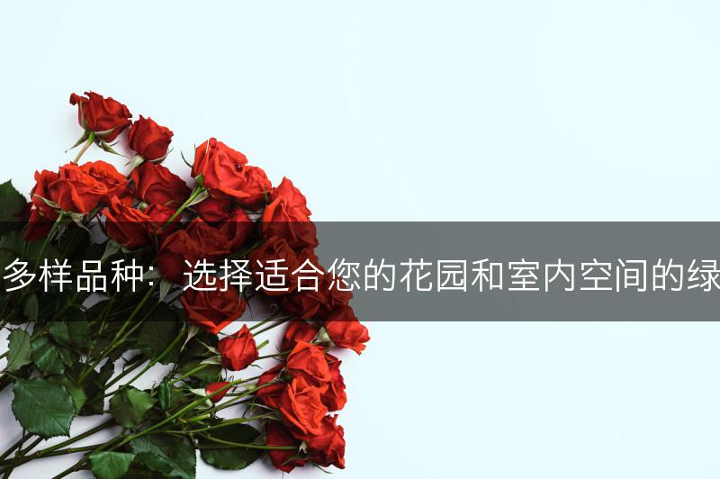 绿萝的多样品种：选择适合您的花园和室内空间的绿萝品种(图1)