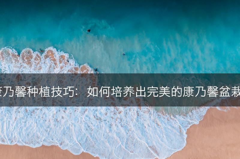 康乃馨种植技巧：如何培养出完美的康乃馨盆栽？(图1)