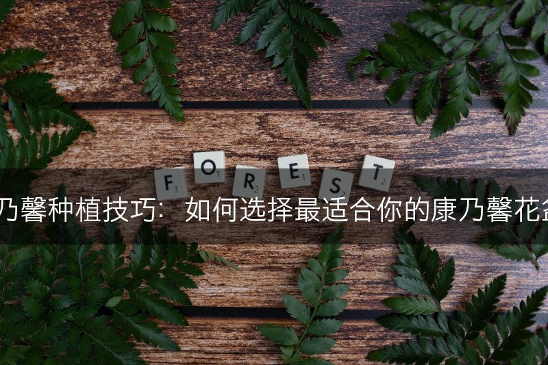 康乃馨种植技巧：如何选择最适合你的康乃馨花盆？(图1)