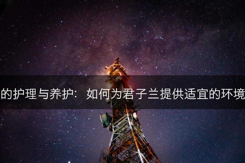 君子兰的护理与养护：如何为君子兰提供适宜的环境和护理(图1)