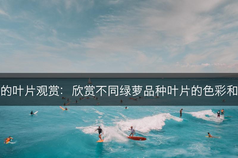 绿萝的叶片观赏：欣赏不同绿萝品种叶片的色彩和纹路(图1)