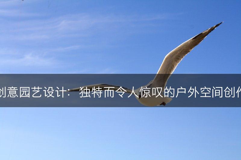 创意园艺设计：独特而令人惊叹的户外空间创作(图1)