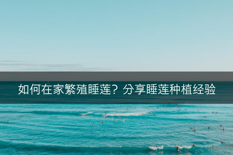 如何在家繁殖睡莲？分享睡莲种植经验(图1)
