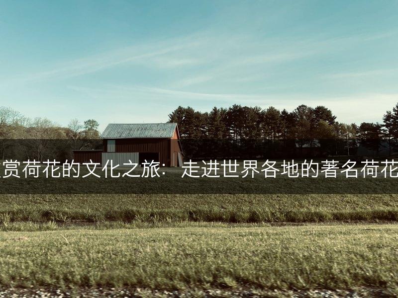 欣赏荷花的文化之旅：走进世界各地的著名荷花园(图1)