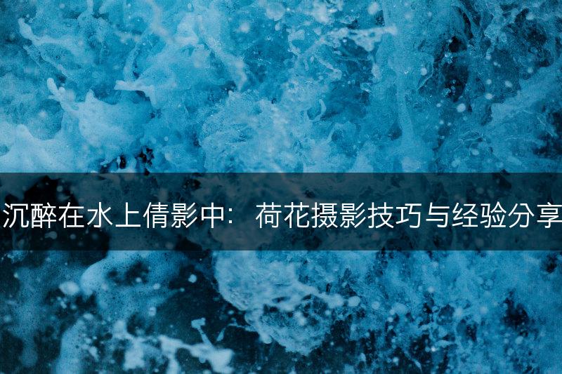 沉醉在水上倩影中：荷花摄影技巧与经验分享(图1)