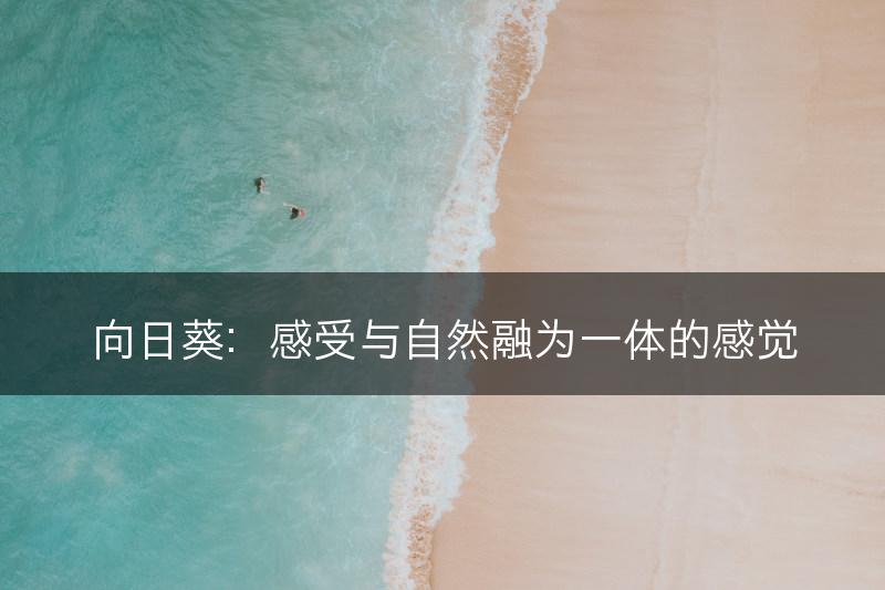 向日葵：感受与自然融为一体的感觉(图1)