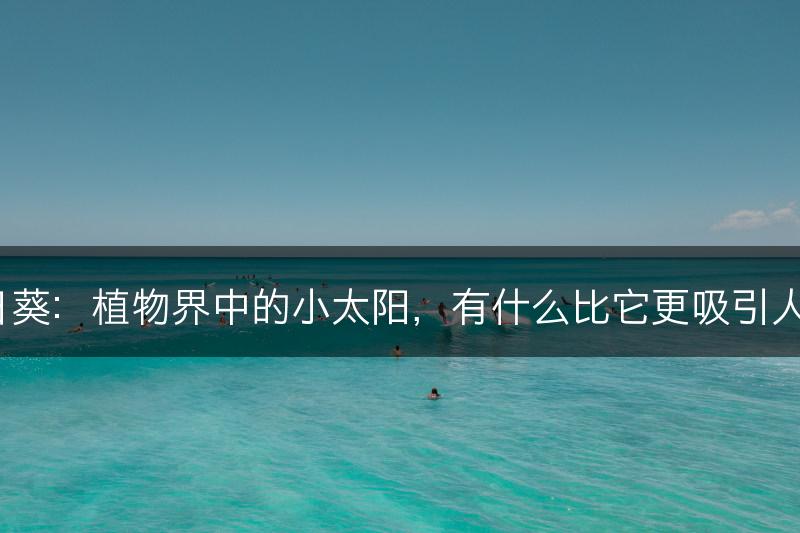 向日葵：植物界中的小太阳，有什么比它更吸引人呢？(图1)