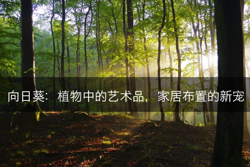 向日葵：植物中的艺术品，家居布置的新宠(图1)