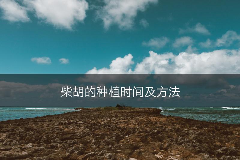 柴胡的种植时间及方法(图1)