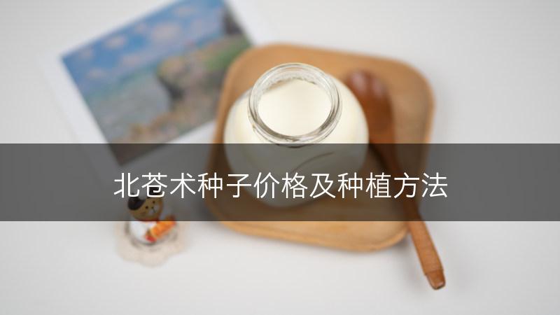 北苍术种子价格及种植方法(图1)