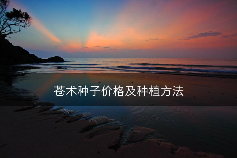 苍术种子价格及种植方法(图1)