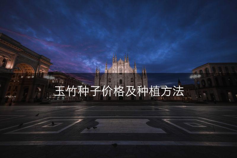 玉竹种子价格及种植方法(图1) 玉竹种子价格及种植方法(图1)