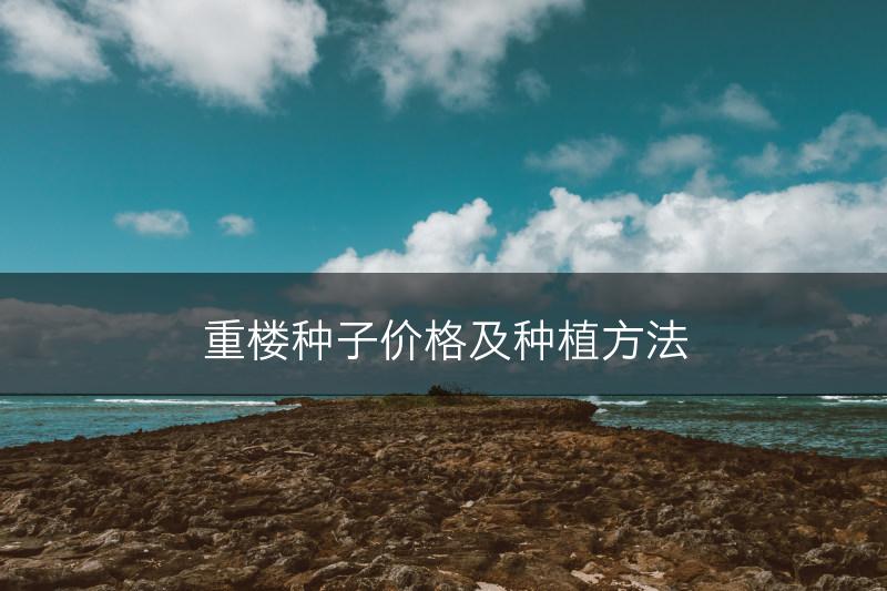 重楼种子价格及种植方法(图1)