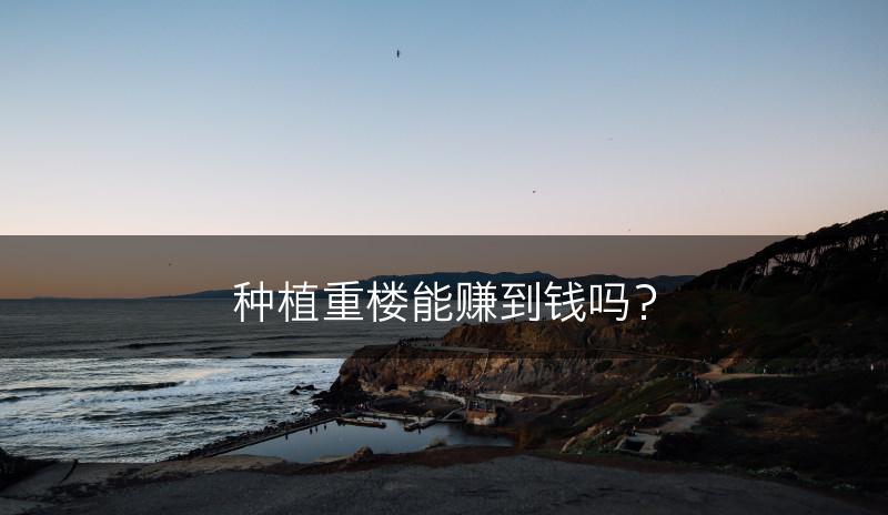种植重楼能赚到钱吗？(图1)