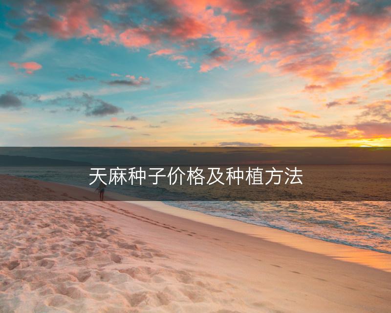 天麻种子价格及种植方法(图1)