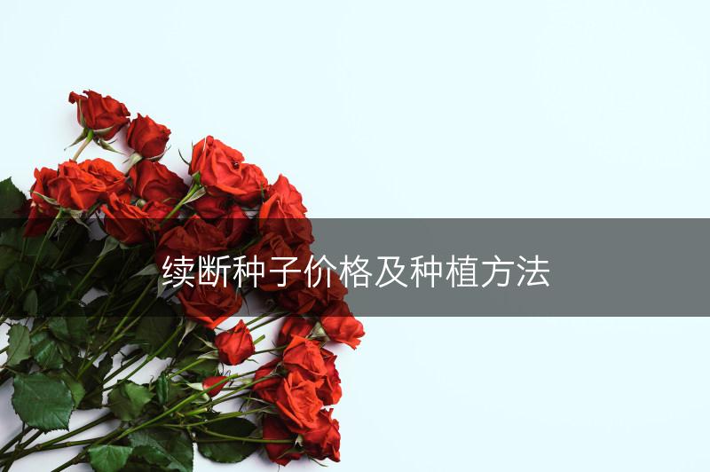 续断种子价格及种植方法(图1)
