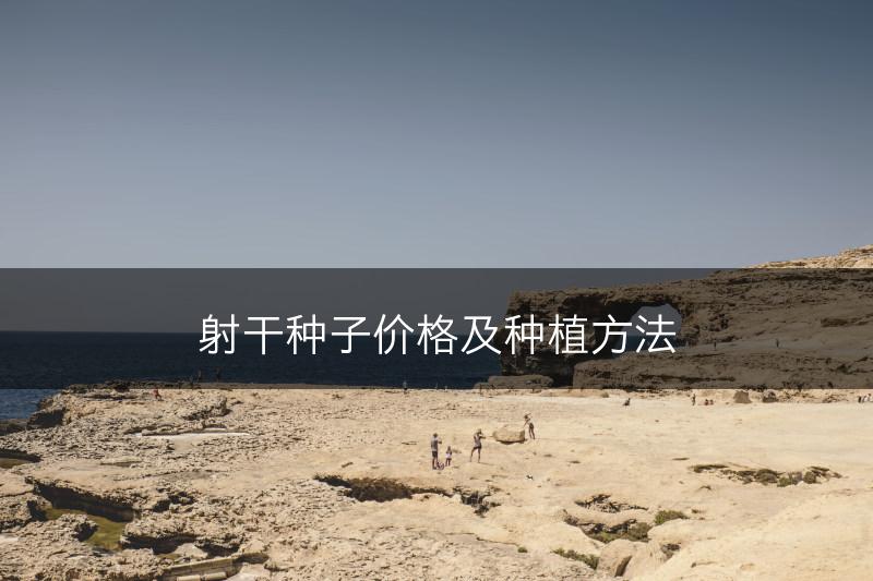 射干种子价格及种植方法(图1) 射干种子价格及种植方法(图1)