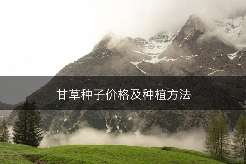 甘草种子价格及种植方法(图1) 甘草种子价格及种植方法(图1)